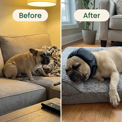 Premium Dog Cancelling Headphones