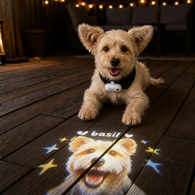Custom Pet Projector Light