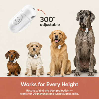 Custom Pet Projector Light