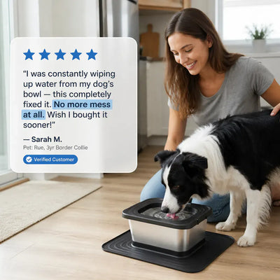 Ventra - Germ-Free Pet Bowl