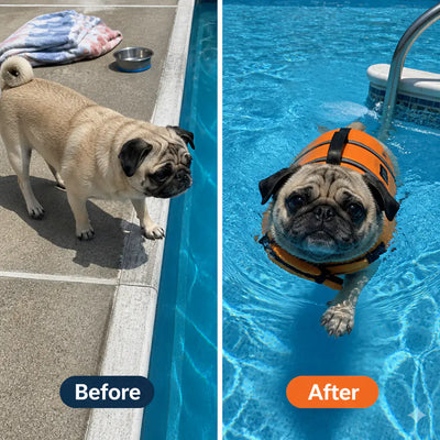Ventra™ - Premium Dog Life Jacket 2