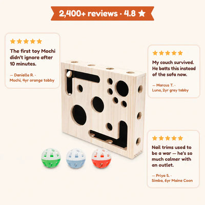 PawFile - Self-Filing Cat Nail Toy