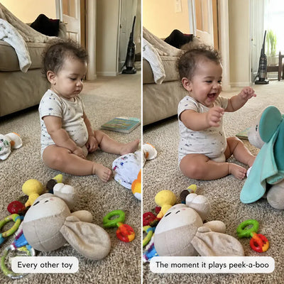 The Peek-a-Boo Bear - Talking Plush Toy