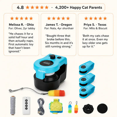 KittyRun - Smart Cat Exercise Wheel