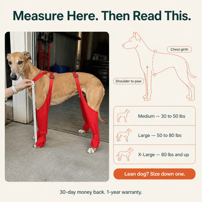 The Waterproof Dog Boots with Suspenders