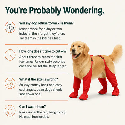 The Waterproof Dog Boots with Suspenders