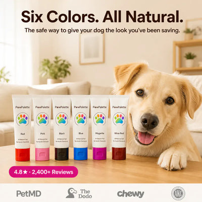 PawTint - Pet-Safe Organic Fur Dye