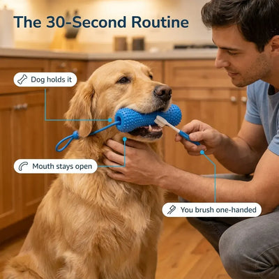 BrushBuddy - Dog Dental Prop & Toothbrush Set