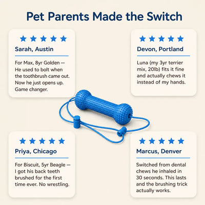 BrushBuddy - Dog Dental Prop & Toothbrush Set