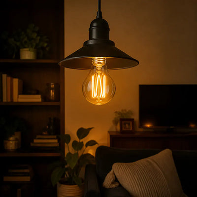 Antique Vintage Edison Bulb