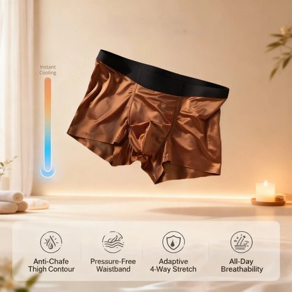 Premium Antimicrobial Silk Boxers