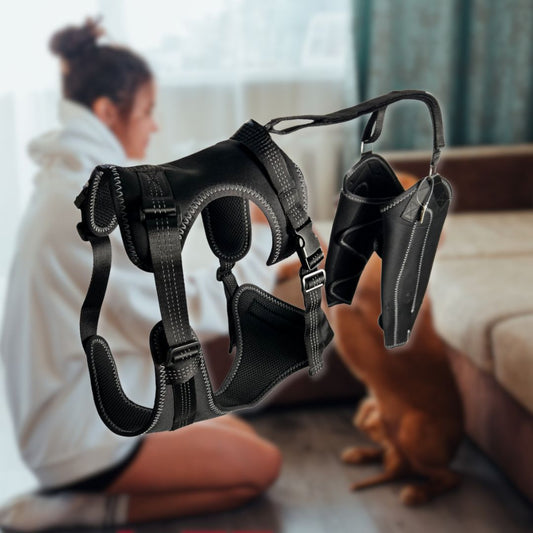 Ventra™ Premium Dog Knee Support Brace