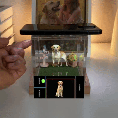 Bring Your Pet **Back to Life** in a Stunning 3D Hologram