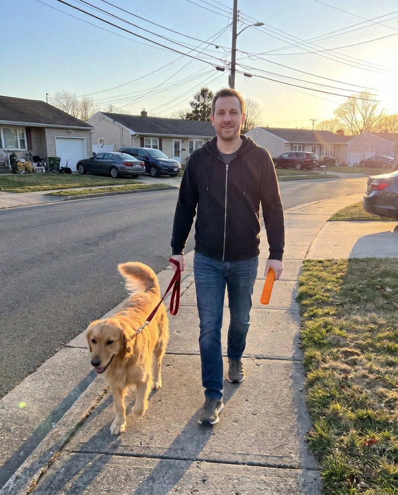 Man walking his dog in the evening with an Orange FreeAir