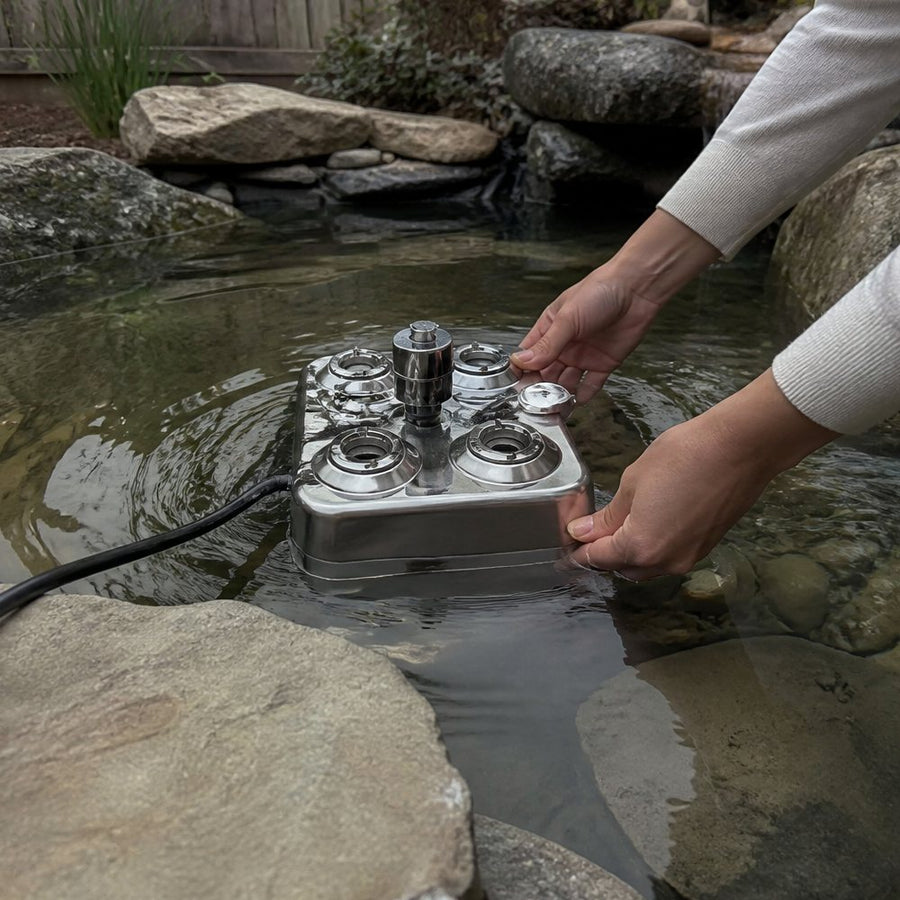 Set it in the water