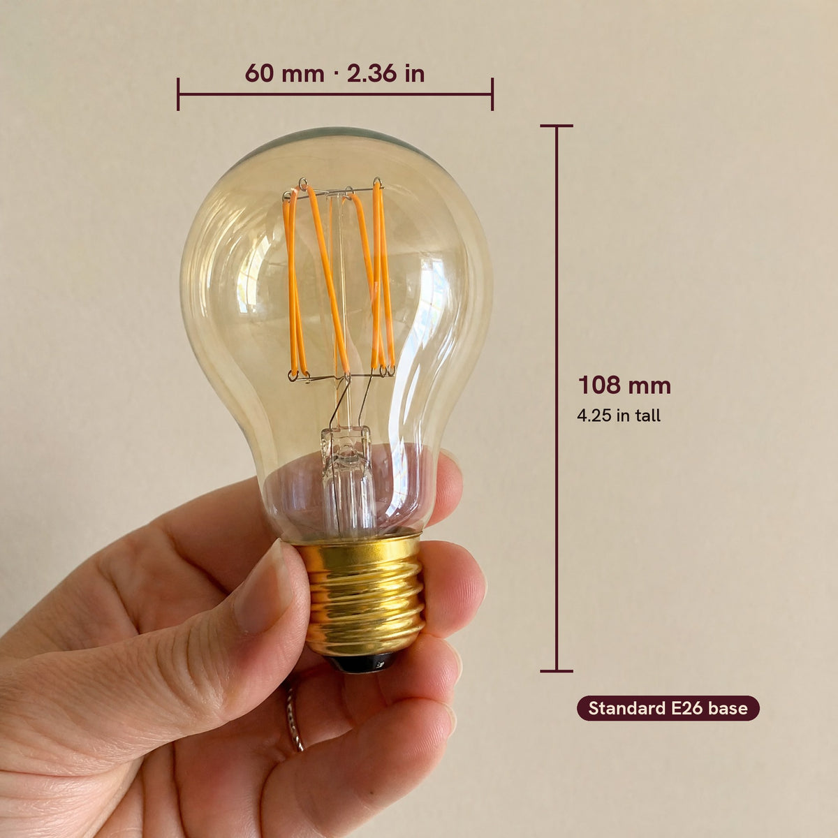 Latelight bulb in hand, 60 mm wide and 108 mm tall with E26 base
