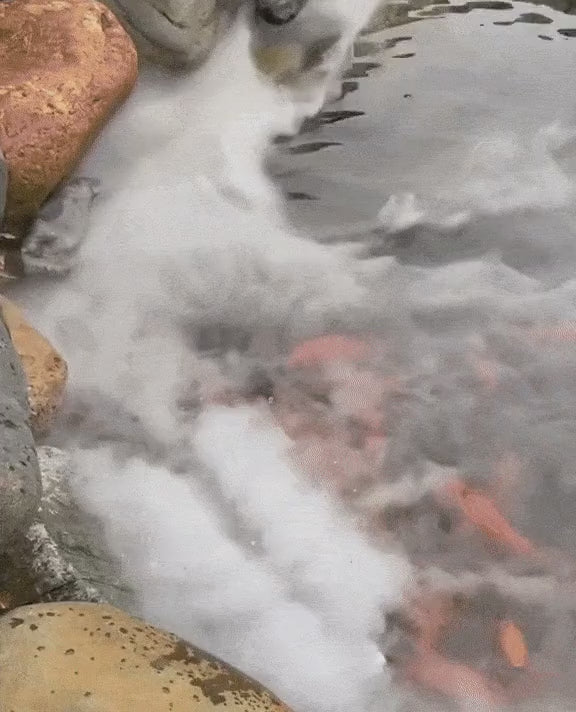 Real footage: KASUMI fog rolling across a koi pond
