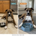 Pet Slow Food Bowl