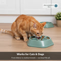 Pet Slow Food Bowl
