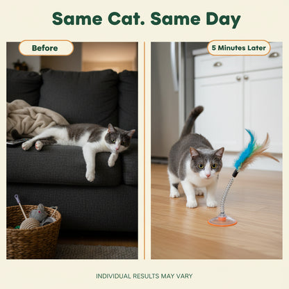 Cat Interactive Bird Toy