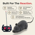 Remote Control Robot Mouse