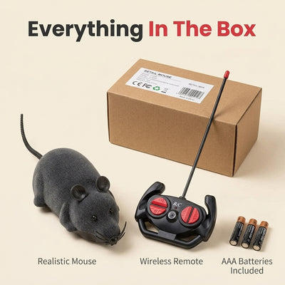 Remote Control Robot Mouse