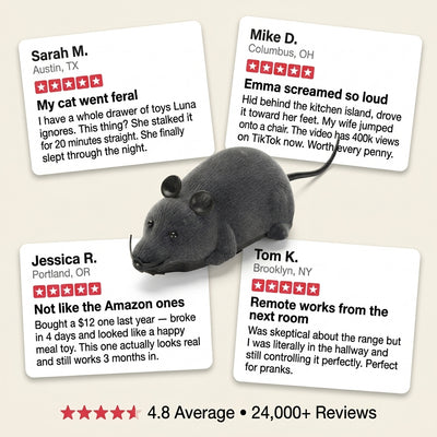 Remote Control Robot Mouse