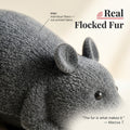 Remote Control Robot Mouse