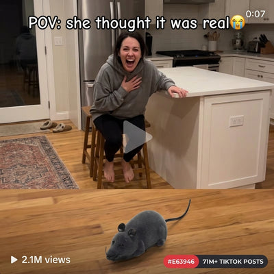 Remote Control Robot Mouse