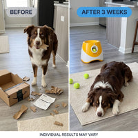 Dog Ball Launcher