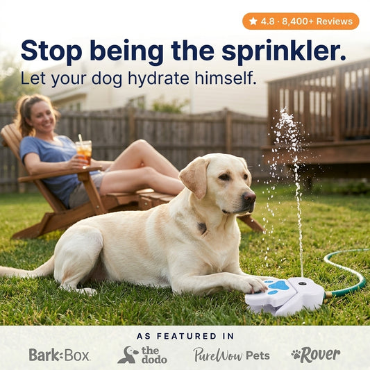 Dog Water Fountain Sprinkler