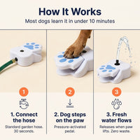 Dog Water Fountain Sprinkler