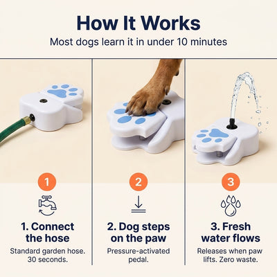 Dog Water Fountain Sprinkler