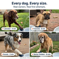Dog Water Fountain Sprinkler