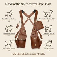 Ventra™ Anti-theft Harness