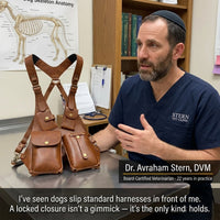 Ventra™ Anti-theft Harness