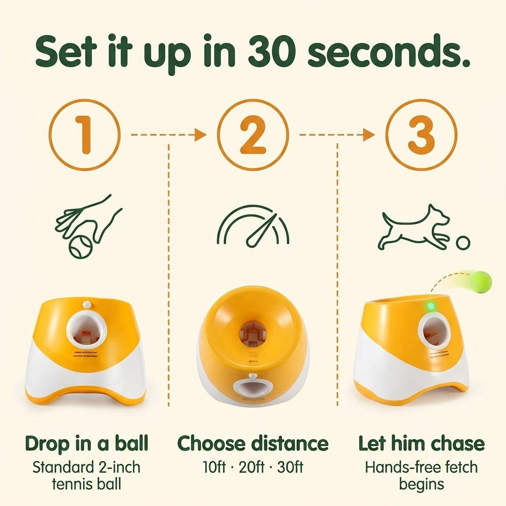 Automatic Dog Ball Launcher