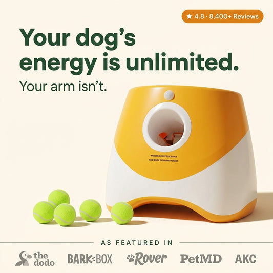 Automatic Dog Ball Launcher