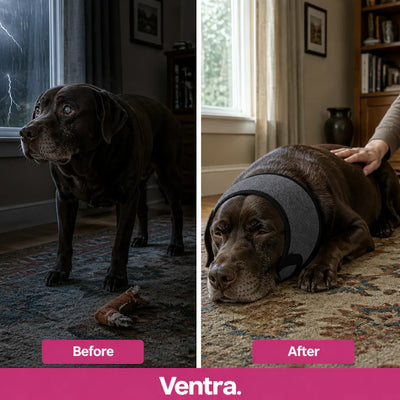 Premium Dog Cancelling Headphones