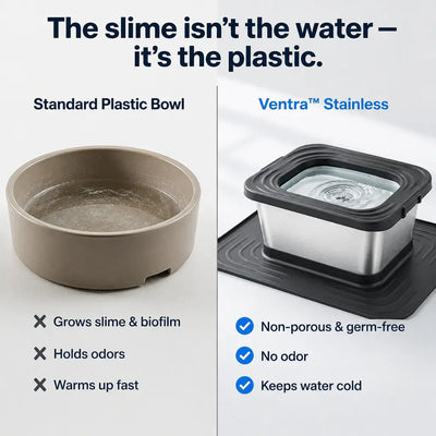 Ventra - Germ-Free Pet Bowl