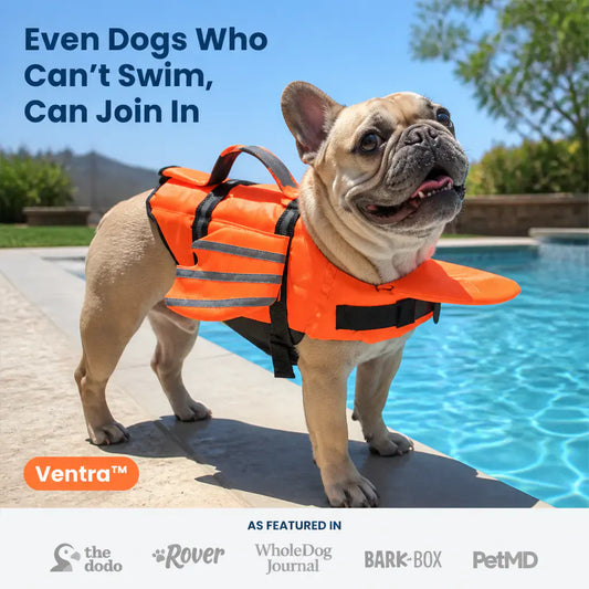Ventra™ - Premium Dog Life Jacket 2