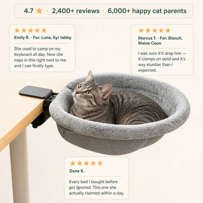 DeskNest - Folding Cat Desk Hammock
