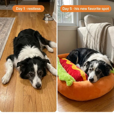 The Hot Dog Bed - Plush Pet Cushion