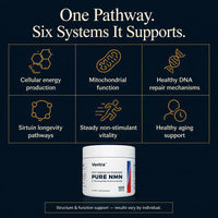 Ventra - NMN Powder Supplement