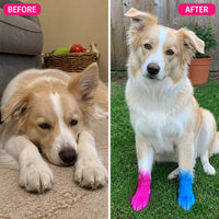 PawTint - Pet-Safe Organic Fur Dye