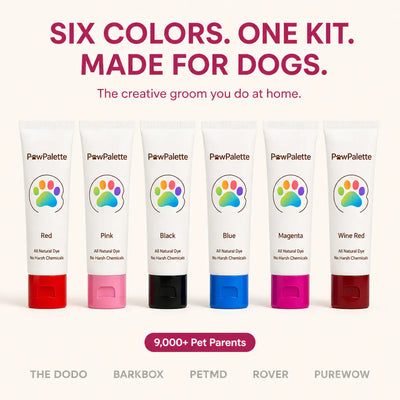 PawTint - Pet-Safe Organic Fur Dye