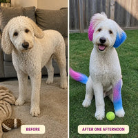 PawTint - Pet-Safe Organic Fur Dye