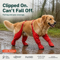 The Waterproof Dog Boots with Suspenders