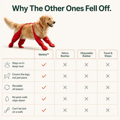 The Waterproof Dog Boots with Suspenders