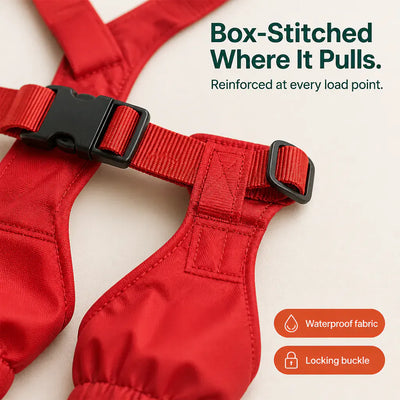 The Waterproof Dog Boots with Suspenders